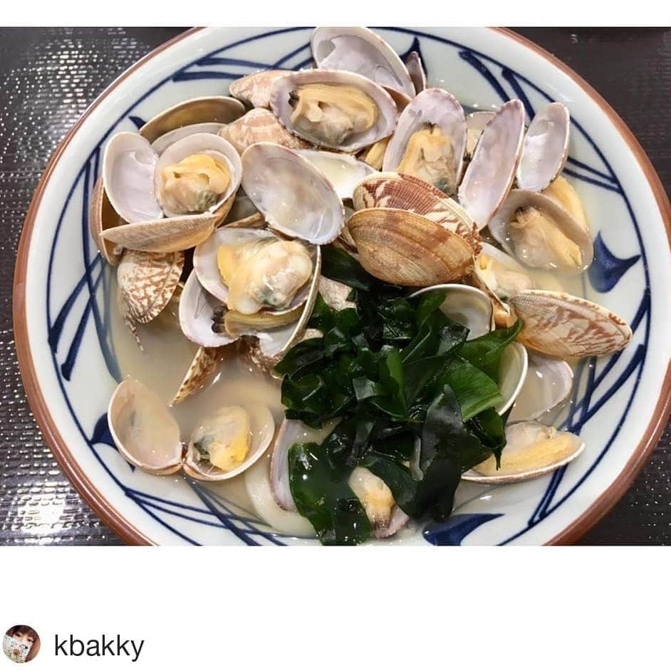 丸亀製麺さんのインスタグラム写真 - (丸亀製麺Instagram)「#Repost @kbakky ・・・ 以前からまどかに「美味しいから食べて！」と言われて食べてみた #丸亀製麺 #あさりうどん 想像超えるすごいあさりの数… 何個入っているか数えたら31個だった！ 1人で黙々とあさりを食べてて うどんを食べるのを忘れる お出汁があさりあさりで全部飲み干しました！  しじみみたいになんか健康にいい感じ！ ・ ・ #丸亀製麺#あさりうどん#あさり#アサリ#うどん#麺#麺スタグラム#限定#あさりの量がすごい#出汁が美味しい#にしてもあさりの量がすごい#ワカメ#美味しい」3月14日 13時17分 - marugame_