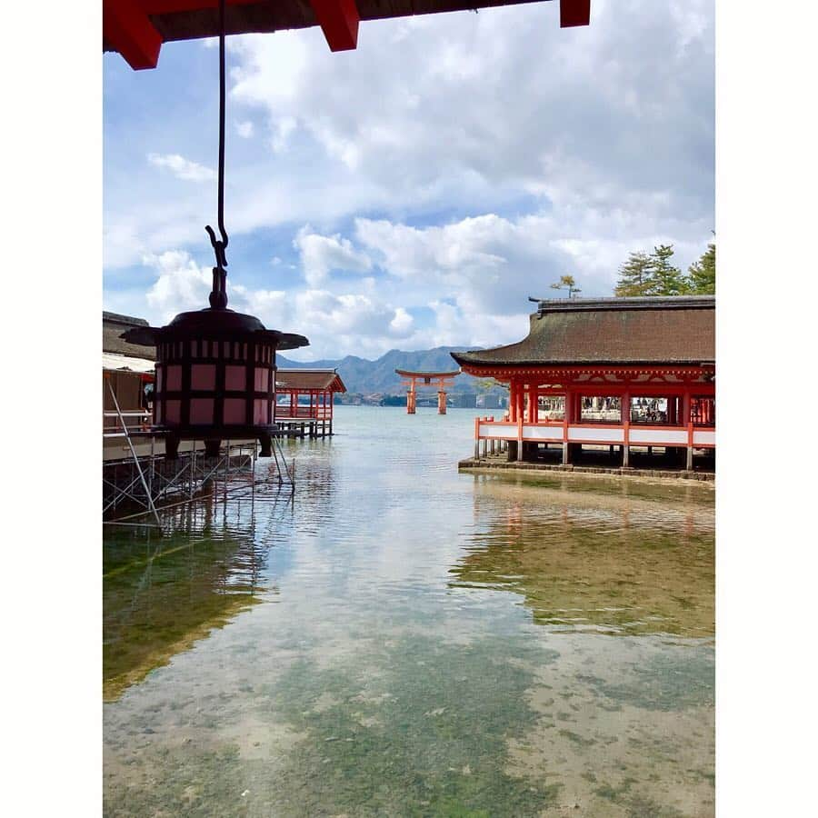 Yun chiさんのインスタグラム写真 - (Yun chiInstagram)「広島を旅して来た。 . . . #電車に乗って宮島口の方へ がたんごとーん #うえの 1時間くらい並んで穴子食べた #ディズニーランド でもそんなに並んだ事ないよ #穴子丼 さっぱりしてて美味しい 肉厚弾力ほむほむ #大鳥居 浮いてるらしい ほんと？！ #鹿に追いかけられた こわい！でも睫毛可愛い #厳島神社 水でひたひた 満ち干きがすごい.*。 #牡蠣屋 さんで休憩 #焼き牡蠣 なにこれ今までで1番美味しい！すごく味がする！ #瀬戸内レモン ビールに果肉が入っとる🍺🍋 #生牡蠣 すっごいおっきくて美味しかった♪ #しばらく他の食べれないよ . . . #japantrip#trip#tripjapan#japan#hiroshima#travel#travelgram#itsukushima#Oysters#me#selfie#conger#worldHeritage#2#広島#旅行」3月14日 13時26分 - _yun_chi_