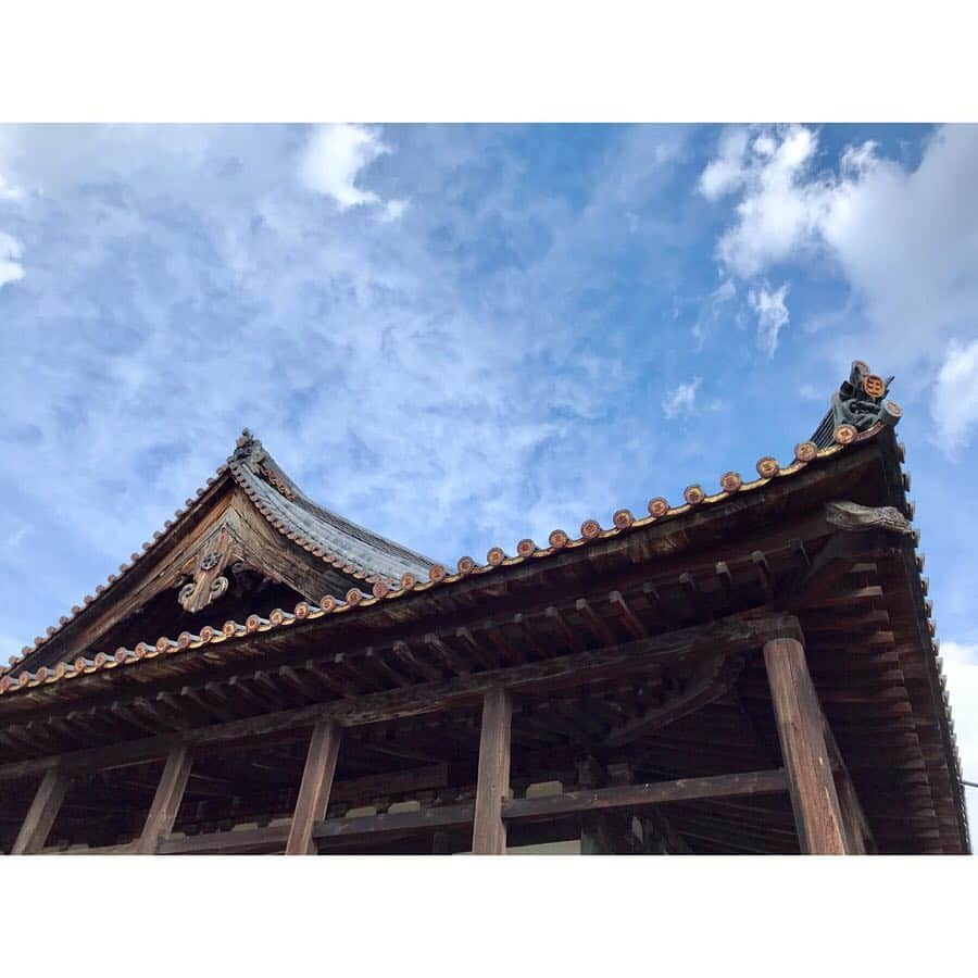 Yun chiさんのインスタグラム写真 - (Yun chiInstagram)「広島を旅して来た。 . . . #ちょっと前なのに梅が咲き始めてて春感じた🌸 #千畳閣 本当に千畳？って言いながら #見渡せる景色がとても良かった #フェリーで移動 わくわく iPhone落とさないか心配された #太陽で水面キラキラ #夜はハゲを食べました🦲✨ #カワハギ の事ハゲって言うんやね #鯛めし 撮ろうとしてたらお店のお母さんが、蓋ぱっかーんってしてくれた。 #お刺身 でいただいたハゲでお味噌汁作って貰ったよ 余すところ無し！ #鯛飯 はおにぎりにして朝ごはんにした #むすびのむさし を買って新幹線へ これはいつも絶対食べる🍙 #食べてばっかりに見えるね笑 #移動いっぱい歩いてめっちゃリフレッシュ楽しかった〜 . . . #japantrip#trip#tripjapan#japan#hiroshima#travel#travelgram#itsukushima#ferry#kawahagi#Redsnapper#japanfood#omusubi#me#selfie#3#旅行」3月14日 13時47分 - _yun_chi_