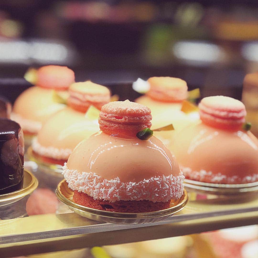 eguchikazuakiのインスタグラム：「ショーケースにも桜のケーキが登場しています🌸みなさんが見る事ない後ろから写真をパシャり📸 ・ たまにはレシピ的な作り方を。 全体はホワイトチョコレートの優しいムースです😊37%のカカオバターのホワイトチョコレートムースには70%前後の水分が必要なので、生クリーム50%と牛乳20%で軽さとコクのあるムースにしています、生クリームだけより牛乳入れると軽くなります☁️ ・ 中は二層になっています、煮詰めボンブベースの濃厚なサクラクリーム🌸マスカルポーネを35%程度加えてしっとりさを出しています。 二層目はベリーのジュレ🍓 フランボワーズ、グロゼイユ、フレーズ、フレーズデボワを合わせました😊ゼラチンは2%、それ以外はフルーツのペクチンと酸を反応させて自然に固めます。 ・ サクラ風味のスポンジ生地とトッピングに桜のマカロンをのせていますが、マカロンはガナッシュをサンドしています❗️ホワイトチョコレートの乳分を利用して、水とトレハロースで作るガナッシュ、カカオバターとバターを調整して口どけをコントロールしました🍓🌸ケーキに乗せる場合は冷えてるのが前提なのでカカオバターと水分を調整します😄 ・ ほんとに口どけよくて軽くて春を感じる味わいです、色んな仕掛けをして出来上がったレシピなのでぜひ食べてみてくださいね👋🏻質問あればコメントください📝 ・ #delimmo #デリーモ #サクラ #レシピ #サクラケーキ #ケーキ #パフェ #パンケーキ #サクラシリーズ #登場 #今日は #ヒカリエ #さくら #咲いています #チョコレート #パティシエ #ショコラティエ #eguchikazuaki #江口和明」