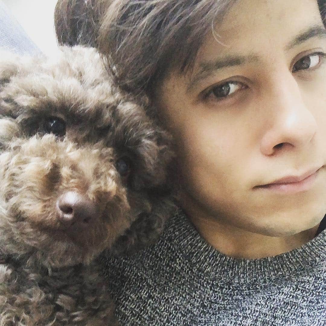 のインスタグラム：「Hola! 本日22時からインスタライブやりまーす。 「じゅんぼとルークのモフモフタイム」🙋‍♂️🐶」
