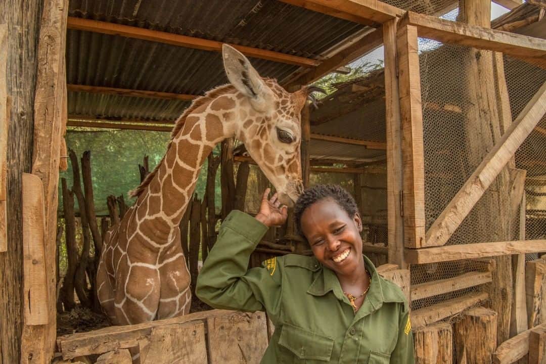 ナショナルジオグラフィックのインスタグラム