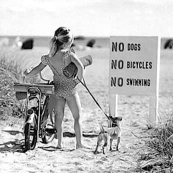 のインスタグラム：「Hey little rebel we like you 💦🚲🐶❤️ #oilily #oililyworld」