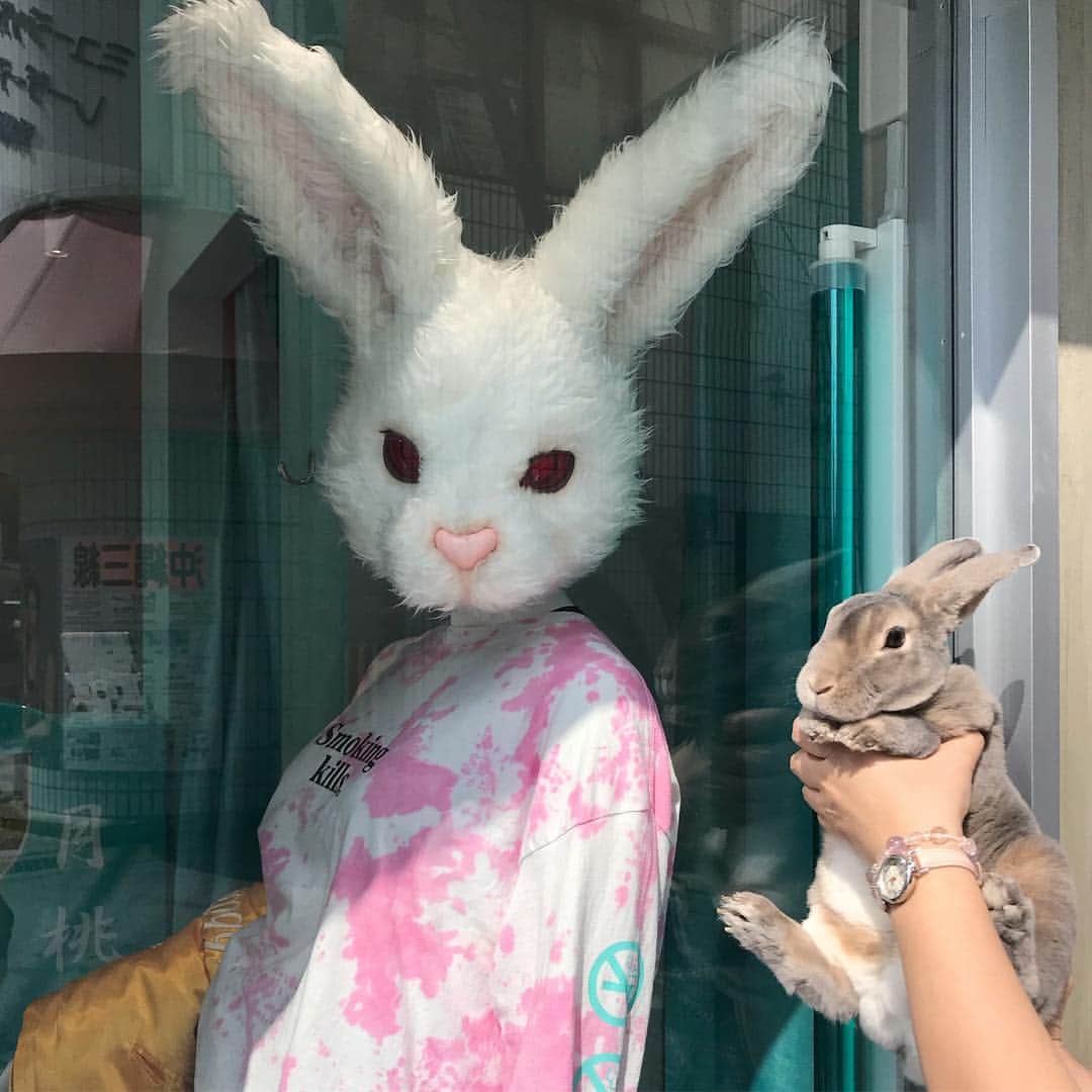 Kayoのインスタグラム：「ある日の那覇んぽ。 オレは恋に落ちた♡ ちゅらかーぎーなしろうさちゃん🐇 「ねぇねぇちょっとチモしばけへん？」 ・ ・ インスタ直ったみたいー はーもーーどぅまんぎたーー」