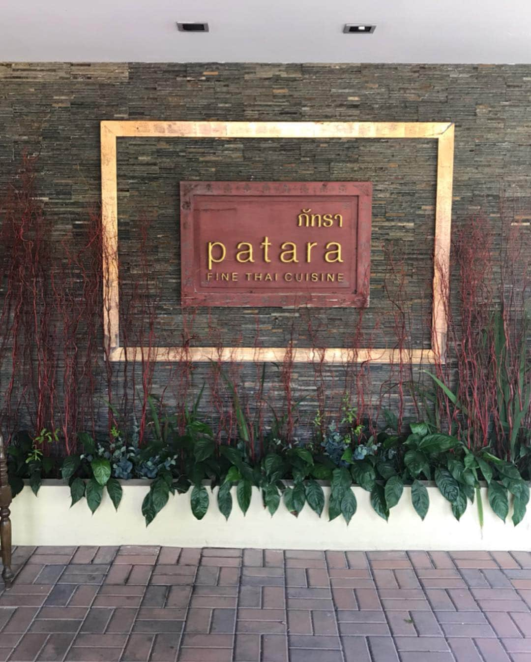 新井利佳さんのインスタグラム写真 - (新井利佳Instagram)「#patara #patarafinethaicuisine #thaifood #thairestaurant #curry #massamancurry #awsome #yolo #bangkok #lamb #bkk #thailand #thonglo #eateateat #lunch #withgirls #yummy #泰國 #泰國美食 #曼谷 #四色飯 #空心菜 #馬士文羊腿 #超級好吃 #餐廳 #推薦 #貪吃鬼去泰國 #美食推薦 #マッサマンカレー #タイの美味しい食べ物」3月14日 16時33分 - rika.arai