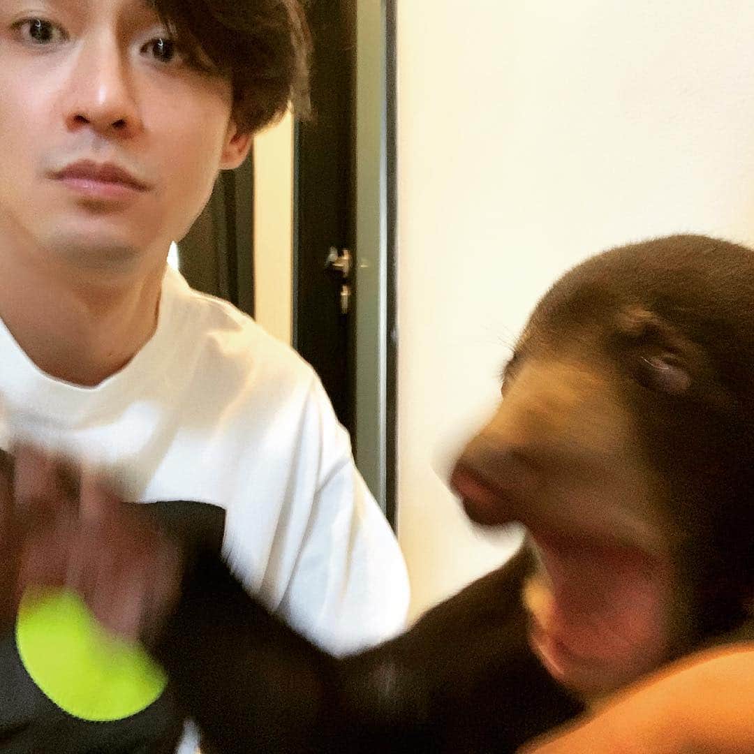 エルロイのインスタグラム：「This picture is funny, bear is like ”yaaaaaaaaaaaaaaaa!”」