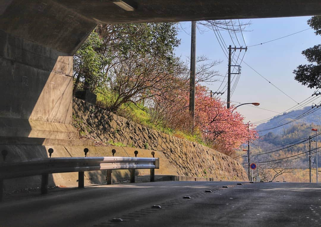 葉山町のインスタグラム