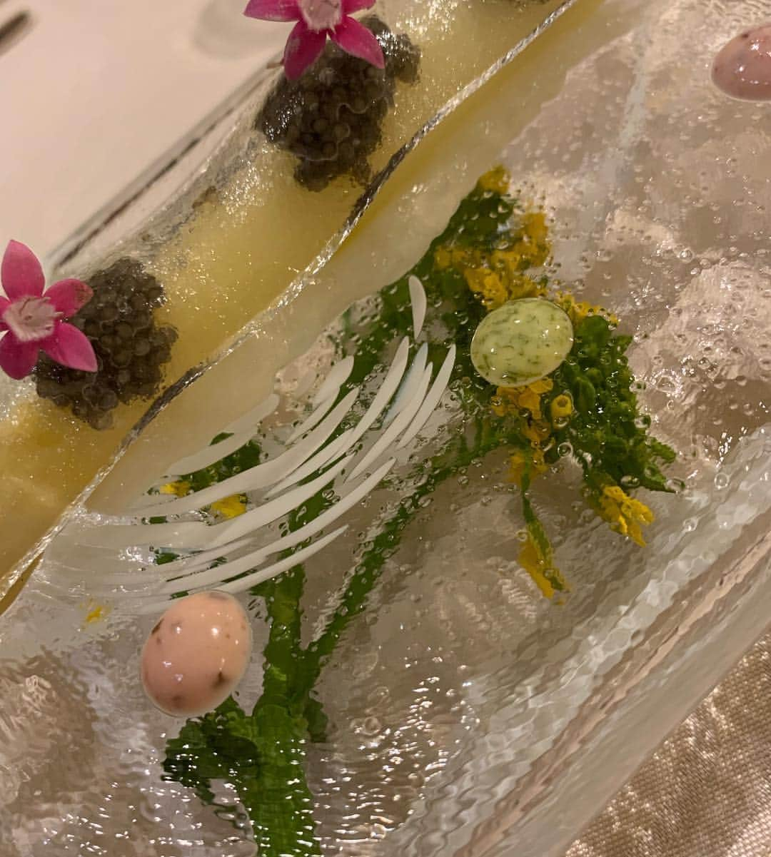 安井友梨さんのインスタグラム写真 - (安井友梨Instagram)「今日のブログは【幻のレストラン”トゥラジョア”へ】食べログランキングＮｏ．1  12月の予約開始日に、 1年分の予約が埋まってしまう  本当に幻のレストラン。 さらには完全紹介制。 「月が変わると、、、 同じ料理は二度と作らない」  一期一会の料理です。  メニューは月替わりで同じものは ２度と出さない。 しかも器、毎月取り替えられます  ありえないほどの手間暇や、 こだわりが詰まっている。  ありえないくらいの絶品料理。  では、一期一会の料理をご紹介！ 続きは今日のブログをご覧下さい！  写真左2017年5月号【月ボ増刊号】 写真右2019年5月号月刊ボディビルディング 2年間の、月刊ボディビルディングでの軌跡💗💗💗💗💗💗 #ビキニフィットネス  #置き換えダイエット  #腹筋女子  #筋肉貯金  @favo_link  #ダイエット」3月10日 21時08分 - yuri.yasui.98