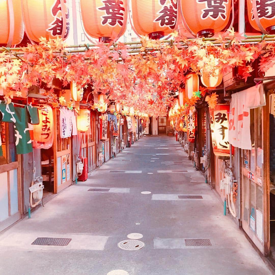 ねこてんさんのインスタグラム写真 - (ねこてんInstagram)「静岡。おでん祭🍢」3月10日 21時19分 - nemui_nekoten