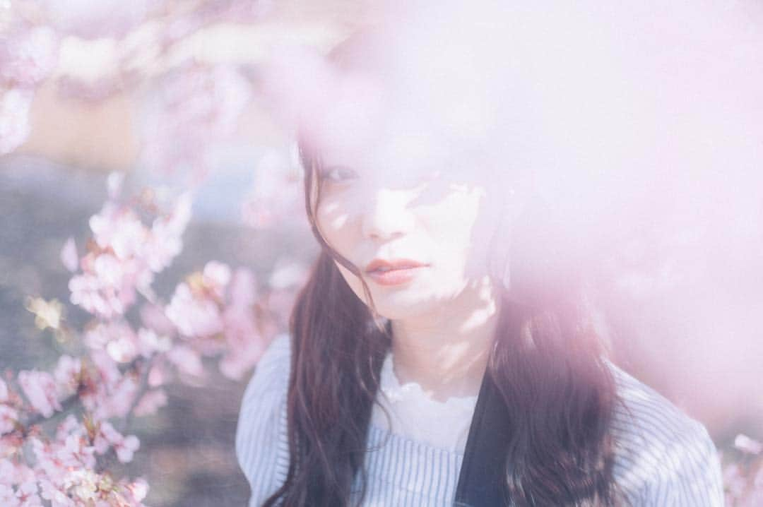 江嶋綾恵梨さんのインスタグラム写真 - (江嶋綾恵梨Instagram)「🌸🌸🌸﻿ ﻿ #photography #photo #portrait #ポートレート﻿ #yoyogipark #代々木公園 #公園 #桜 #河津桜 #カメラ女子」3月10日 21時19分 - aeringoooo