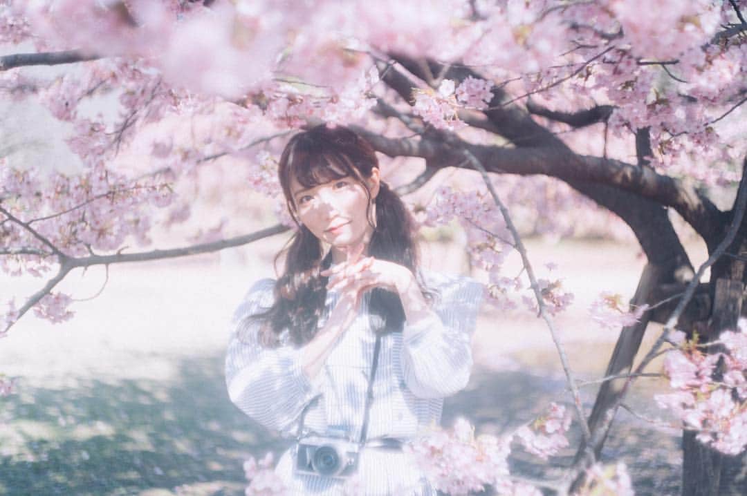 のインスタグラム：「🌸🌸🌸﻿ ﻿ #photography #photo #portrait #ポートレート﻿ #yoyogipark #代々木公園 #公園 #桜 #河津桜 #カメラ女子」