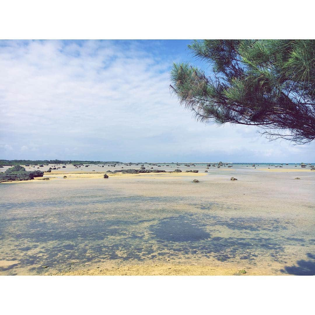 宏実さんのインスタグラム写真 - (宏実Instagram)「#佐和田の浜 神秘的。 #sawadanohama #irabujima #ocean #oceanvibes #oceanview #beautifulworld #beautifulview #littleisland」3月10日 14時12分 - hiromisrainbow