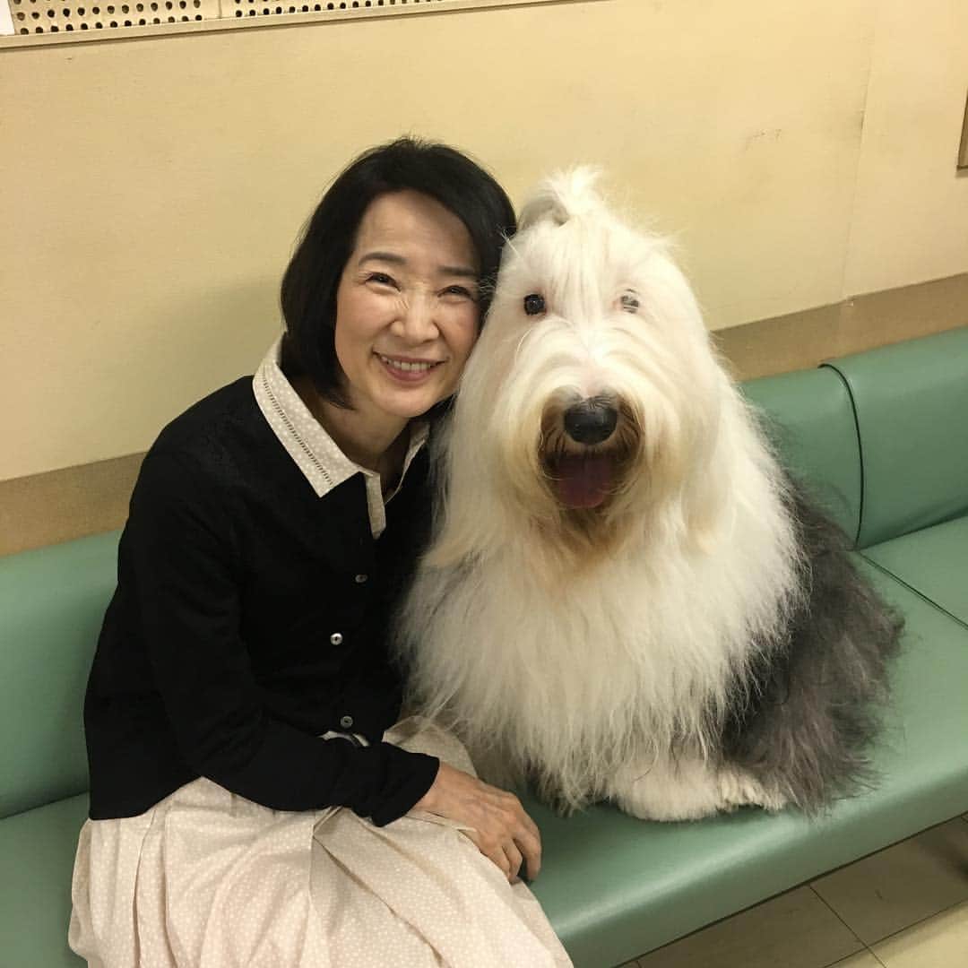 TBS「初めて恋をした日に読む話」のインスタグラム：「皆さん😊こんばんは🐕 #はじこい です❣️ 皆大好きとろろ🐕しのぶお母さん🌺と、ナラ君🏍木佐君🏍からオフショット頂きました💝 第9話は3月12日（火）よる10時から💕📺お楽しみに💕🌈💕 #tbs #深田恭子 #永山絢斗 #横浜流星 #中村倫也 #檀ふみ #堀家一希 #若林拓也 #思わず抱き締めたくなるモジャモジャ感」
