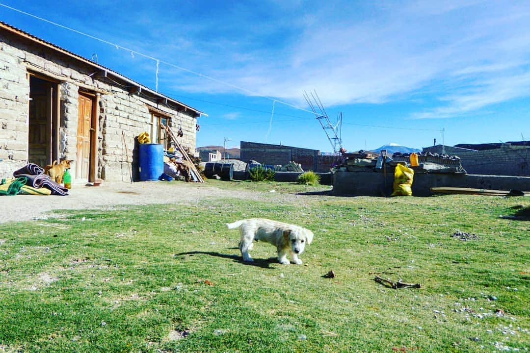 のインスタグラム：「ボリビアで滞在していた、標高約4200mにあるケテナチコという村。福  #Bolivia #QuetenaChico #Hotspots #地底人ラジオ」