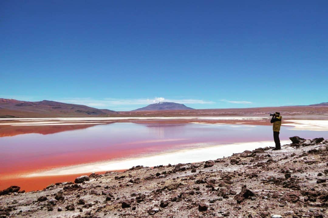 のインスタグラム：「今回の旅の目的の一つである、コロラダ湖。 湖に生息している藻類の赤い色素やプランクトンの死骸の堆積物によって水が赤く見えるそうです。福  #Bolivia #QuetenaChico  #LagunaColorada #NHK #hotspots  #ホットスポット最後の楽園 #season3 #放送をお楽しみに #地底人ラジオ」