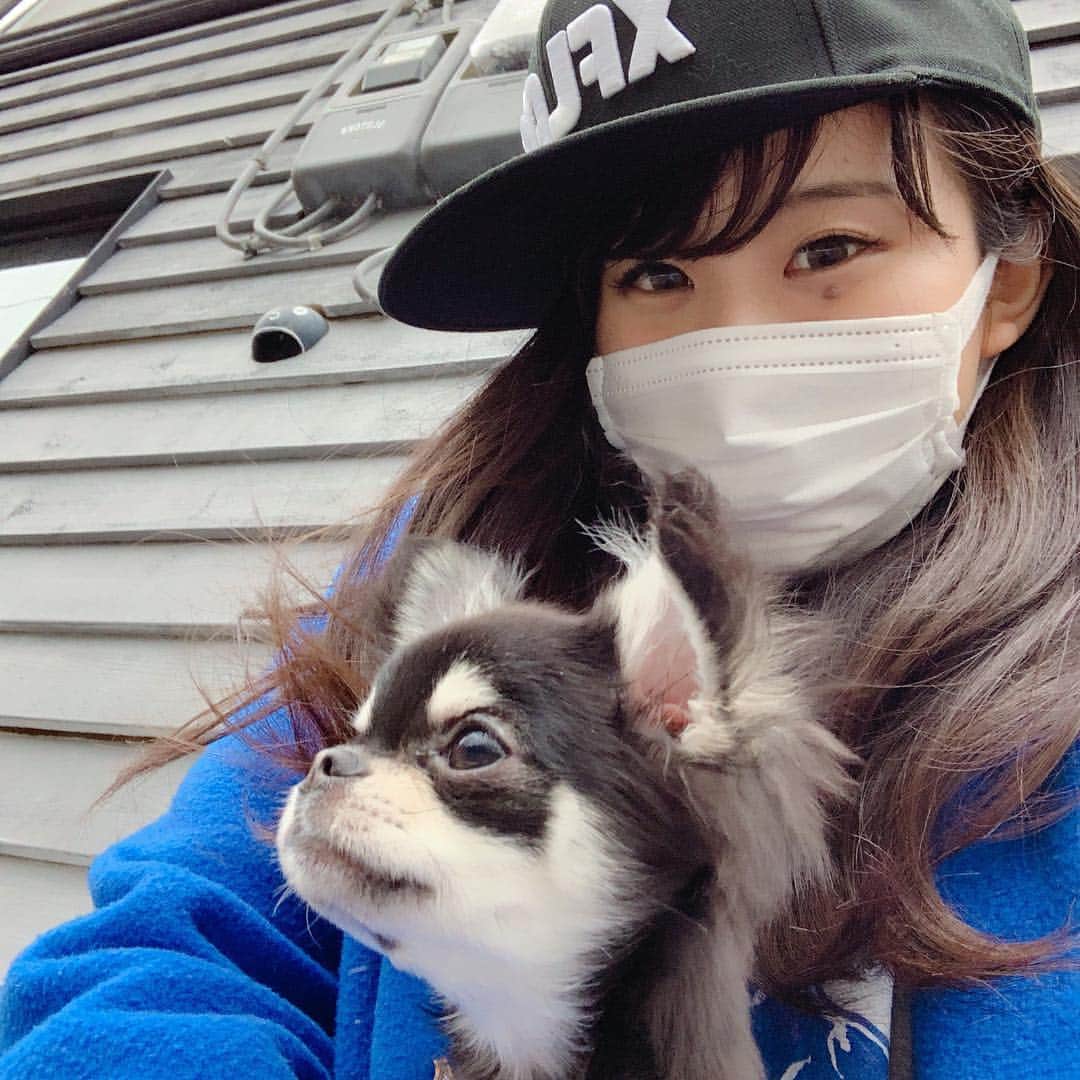 ぱちおまるさんのインスタグラム写真 - (ぱちおまるInstagram)「XFLAGキャップお気に😇 サッカー観戦からの病院でラストワクチン終わったおちょこせんせとのぱちょこたん🐶 そして、なんとなく花粉症デビューしたようなしてないようななのでマスク😂やびぃ〜  #xflag #ちょこたん通信 #ぱちょこたん」3月10日 23時33分 - pachiomaru