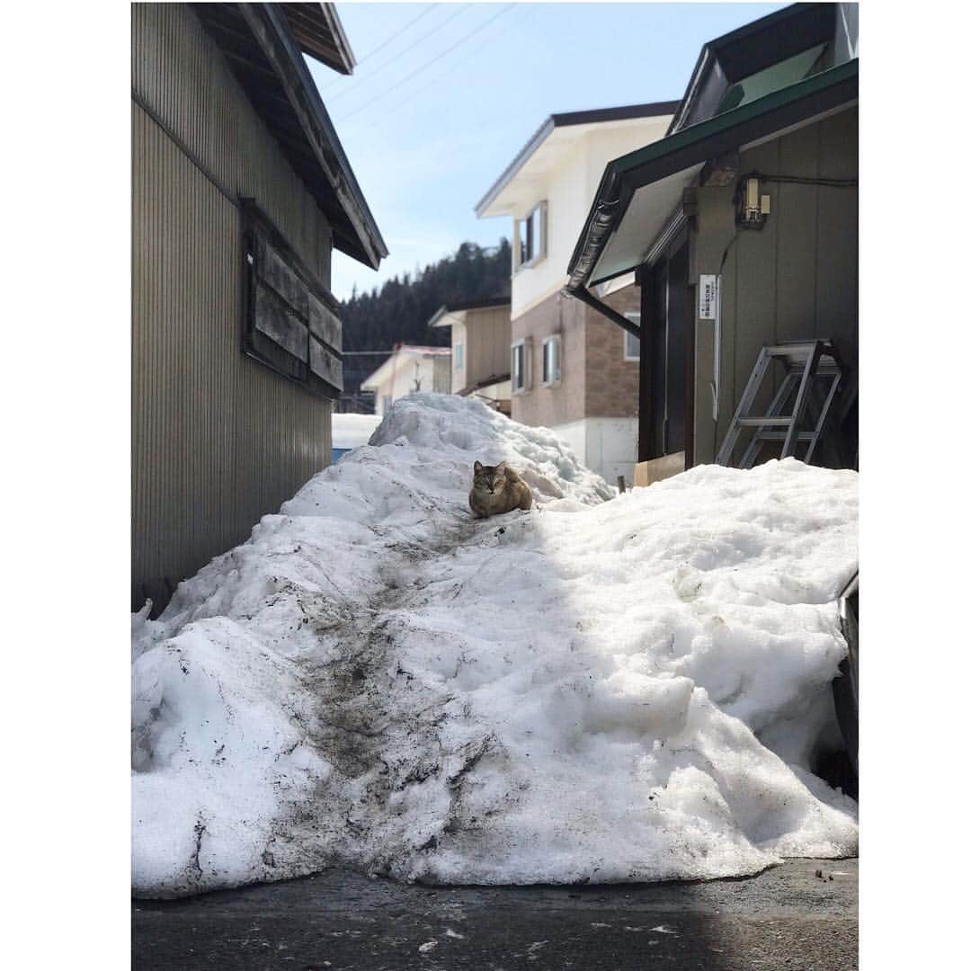 のインスタグラム：「もうすぐ春ですね」
