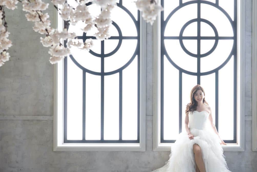 乾亜由美さんのインスタグラム写真 - (乾亜由美Instagram)「結婚式の前撮り撮影。  レタッチ前だけど、素敵に撮影していただきました★  #前撮り #ウエディングフォト #スタジオルミナス東京」3月11日 0時26分 - inuiayumi