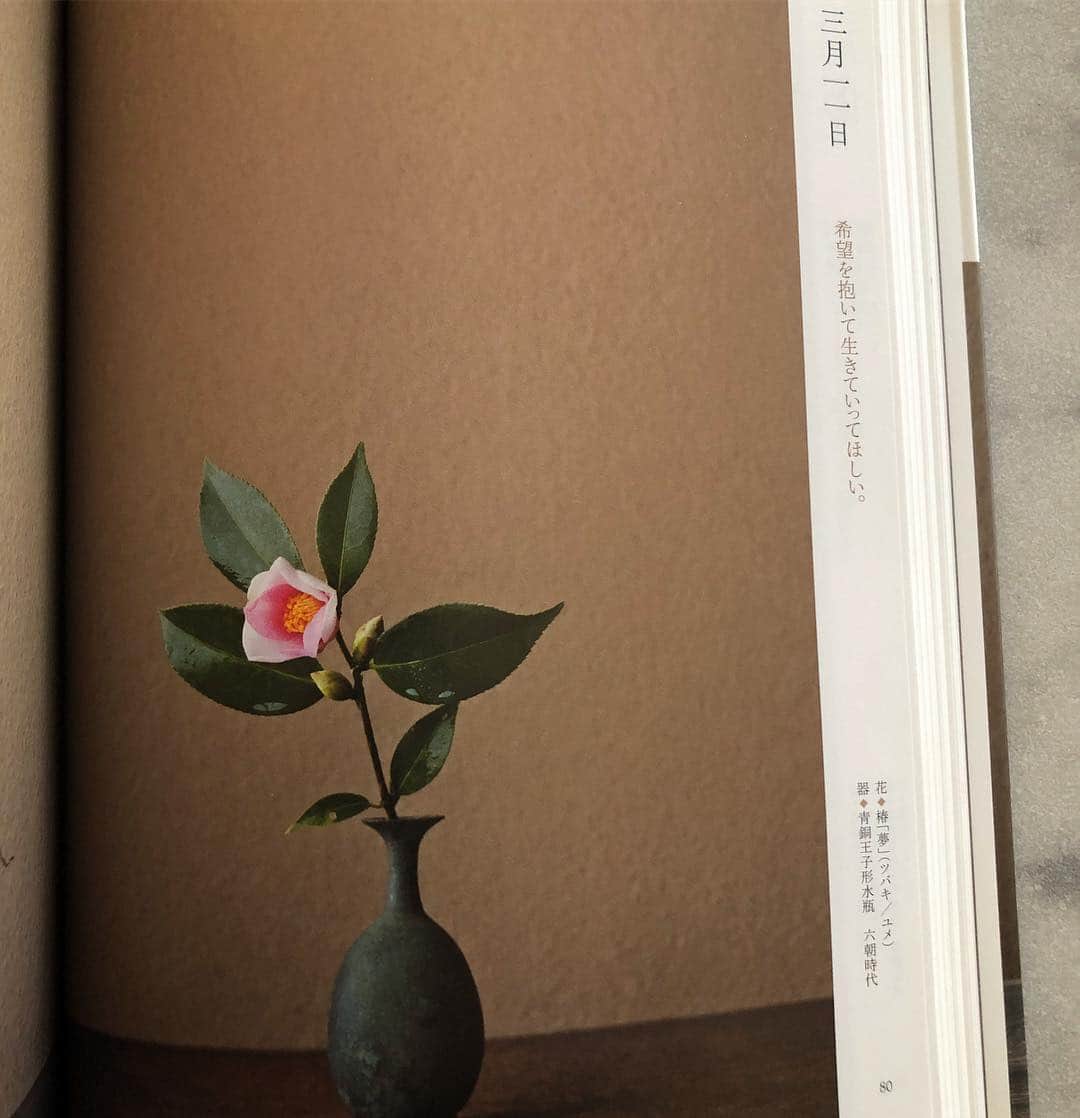 行正り香さんのインスタグラム写真 - (行正り香Instagram)「一日一花という本の、三月十一日は、「希望を抱いて生きていってほしい」。例え両手で希望を持つことはできなくても、抱くだけなら、できるかもしれない。そんな気分にさせられる一言です。#川瀬敏郎#行正り香 #rikayukimasa #花」3月11日 9時20分 - rikayukimasa