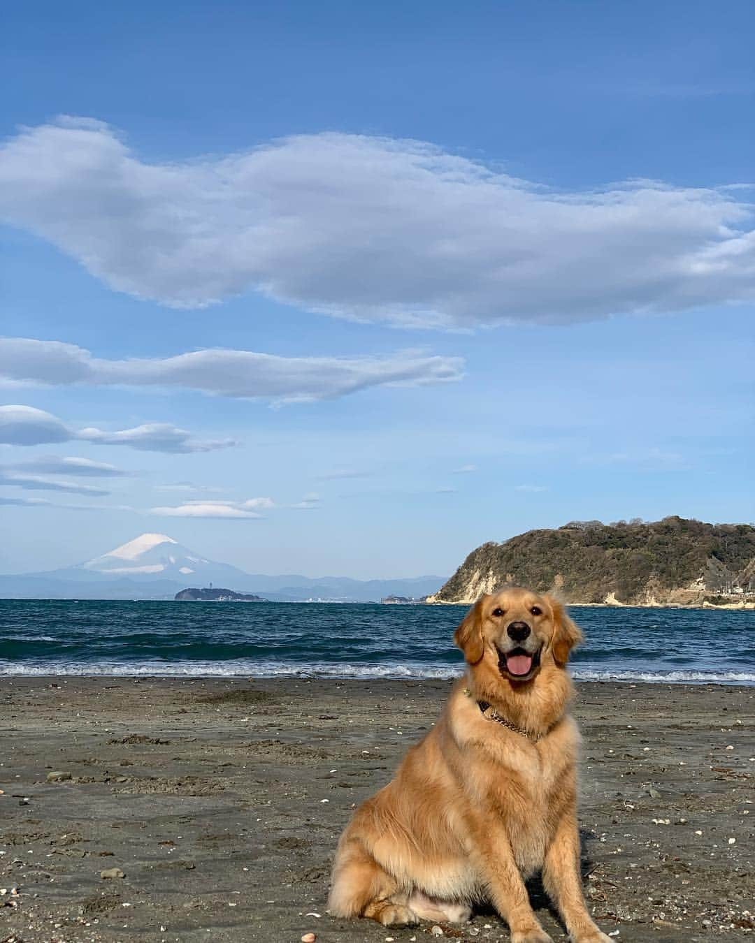 二見梓のインスタグラム：「🗻☀️🐶🎣 あの日から8年。 月日が経つのが恐ろしい程早く感じます。 一日一日を大切に過ごそう！ Eight years have passed since the Great East Japan Earthquake of March 11, 2011. #3月11日」