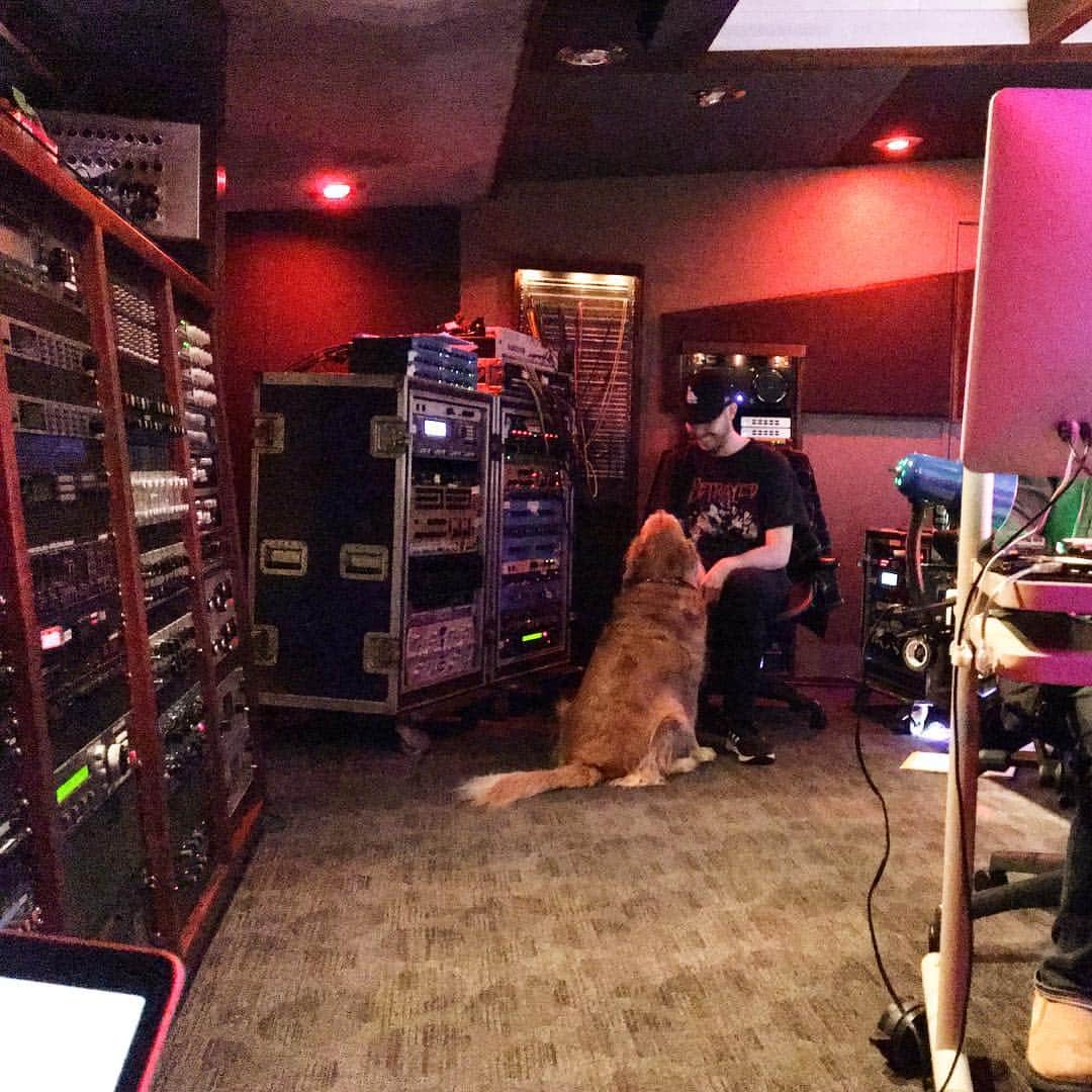 山崎千裕のインスタグラム：「#recordingstudio #greattime #ilovedogs #thankyou」