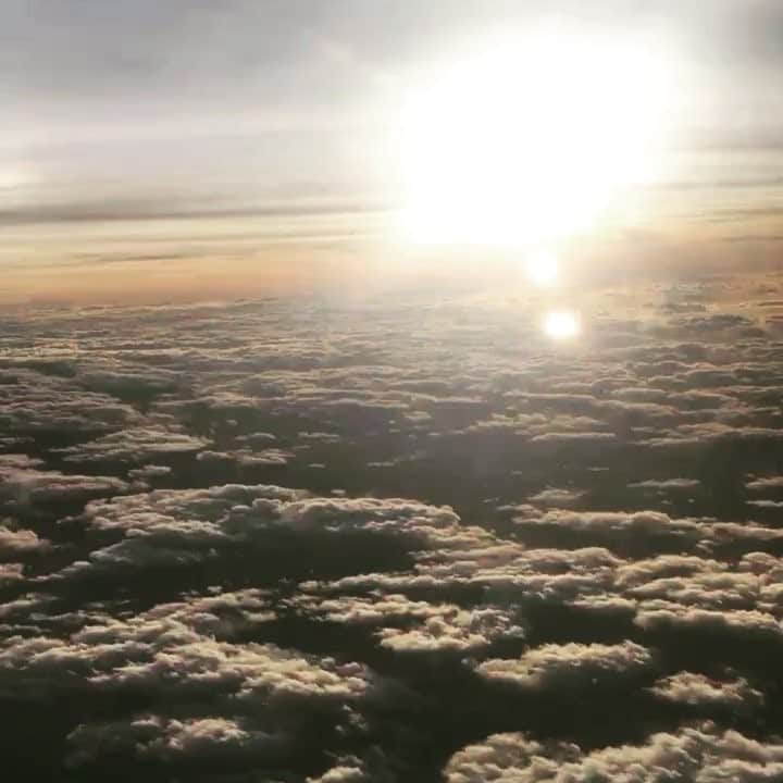 アリソン・シュミットのインスタグラム：「Day 10: beautiful light. 🌞✈️🌞✈️🌞✈️🌞✈️🌞✈️🌞✈️🌞 The sun is a daily reminder that we too can rise again from the darkness. That we too can shine our own light 💛」