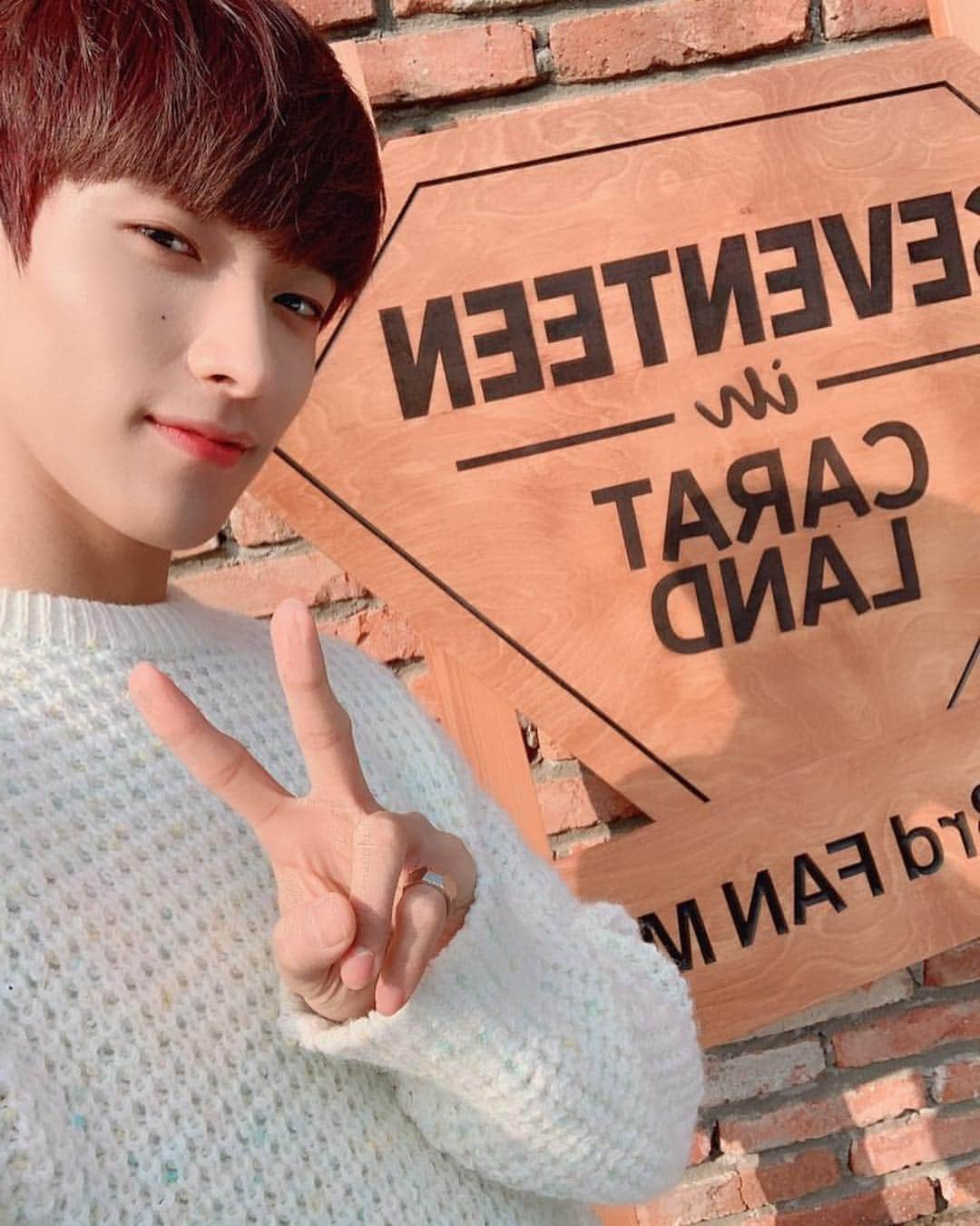 SEVENTEENさんのインスタグラム写真 - (SEVENTEENInstagram)「[17'S 도겸] 💕CARAT LAND💕 잊지 못할 추억 만들어주셔서 고마워요 캐럿들~😊2019년도 함께 힘내자! 항상 옆에 있을게 사랑해 캐럿❤️」3月11日 12時37分 - saythename_17