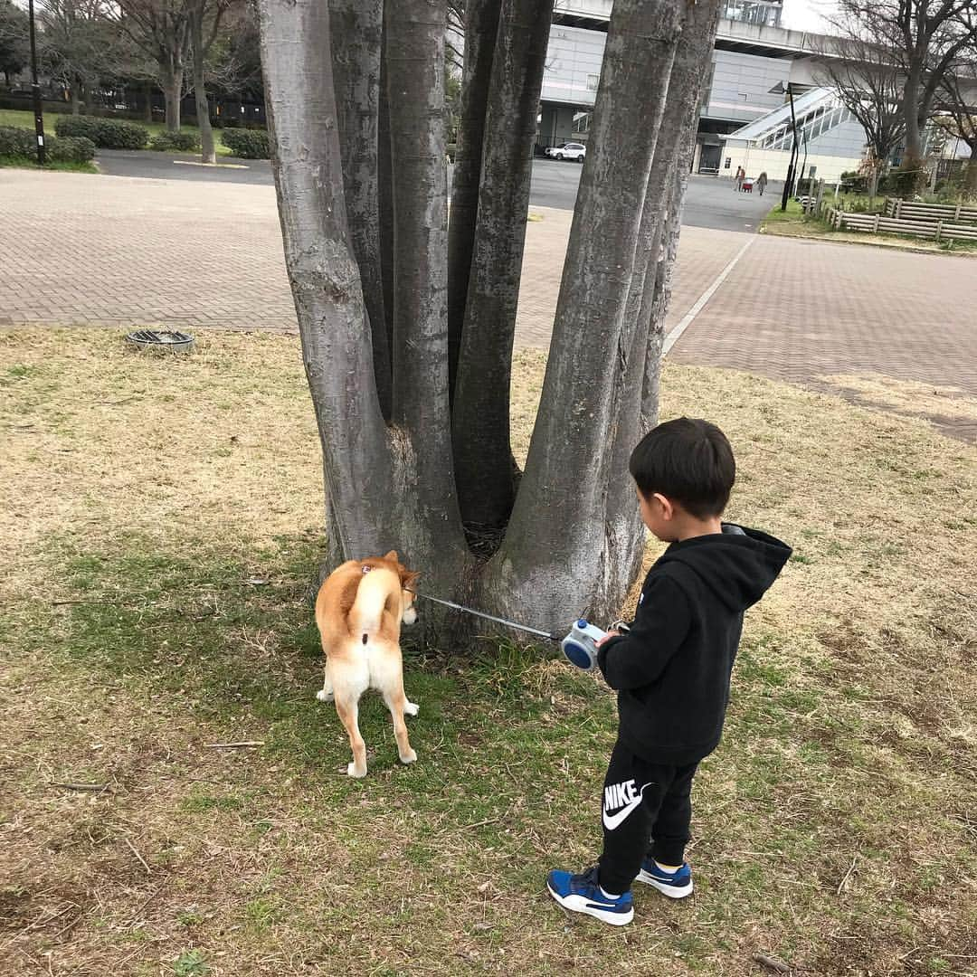 高橋みゆきさんのインスタグラム写真 - (高橋みゆきInstagram)「昨日ボウズの野球⚾️見に行ってきた〜😆ボウズは産まれてからずっと成長を勝手に見守ってきて…野球の良し悪しはわかんないけど…凄い感動した😭👏幼稚園の運動会の時みたいにドキドキしたわ🎶そして次男坊は自由❣️ヤンチャ😂クラ吉の事を…クラチキ！って言う😍💕💕w #野球少年 #あんな小さかったボウズが #もう少年 #キャプテン #ピッチャー #野球の事はわかんないけど #チームの中心として頑張ってたよ #まだまだこれから楽しみだね #次男坊は長男見て育ってるから #センス抜群 #母親譲りの・・・。笑」3月11日 13時25分 - shin_miyukichi