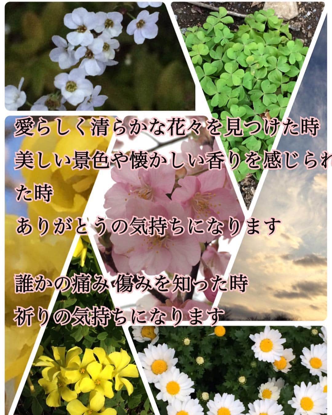 花原あんりのインスタグラム：「3月11日 #singers #singing #musics #japan #vocals #acoustic #tflers #artist #artiste #photooftheday #artistic #television #vocals #like4like #singer #tflers #instadaily #musician #swag #MC #moodygrams #guitarist #東京 #insta #instagram #love #l4l #instagood」