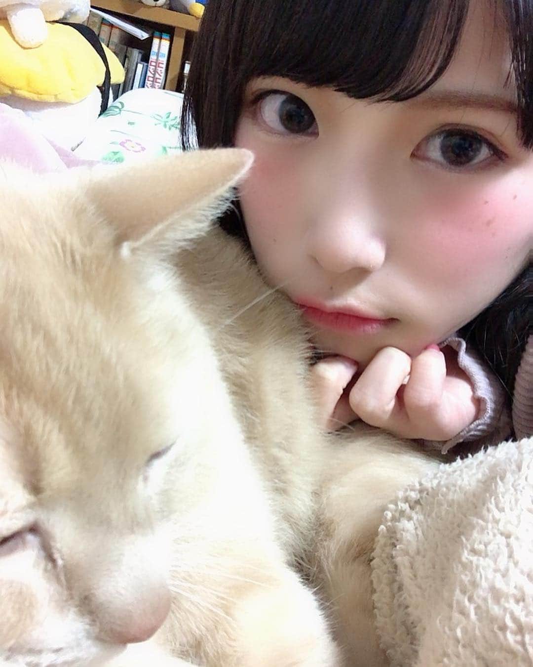 村上りいなさんのインスタグラム写真 - (村上りいなInstagram)「#cat #cute #love 💕 #猫 #のんびり」3月11日 14時31分 - riina_murakami
