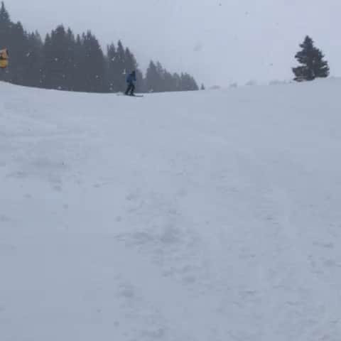 ヨス・ホーイフェルトのインスタグラム：「Best part of being retired.. skiing with my brother @bashooiveld. Note: this frame is shot in extreme slowmotion. Went really really fast! 😂😂😂」