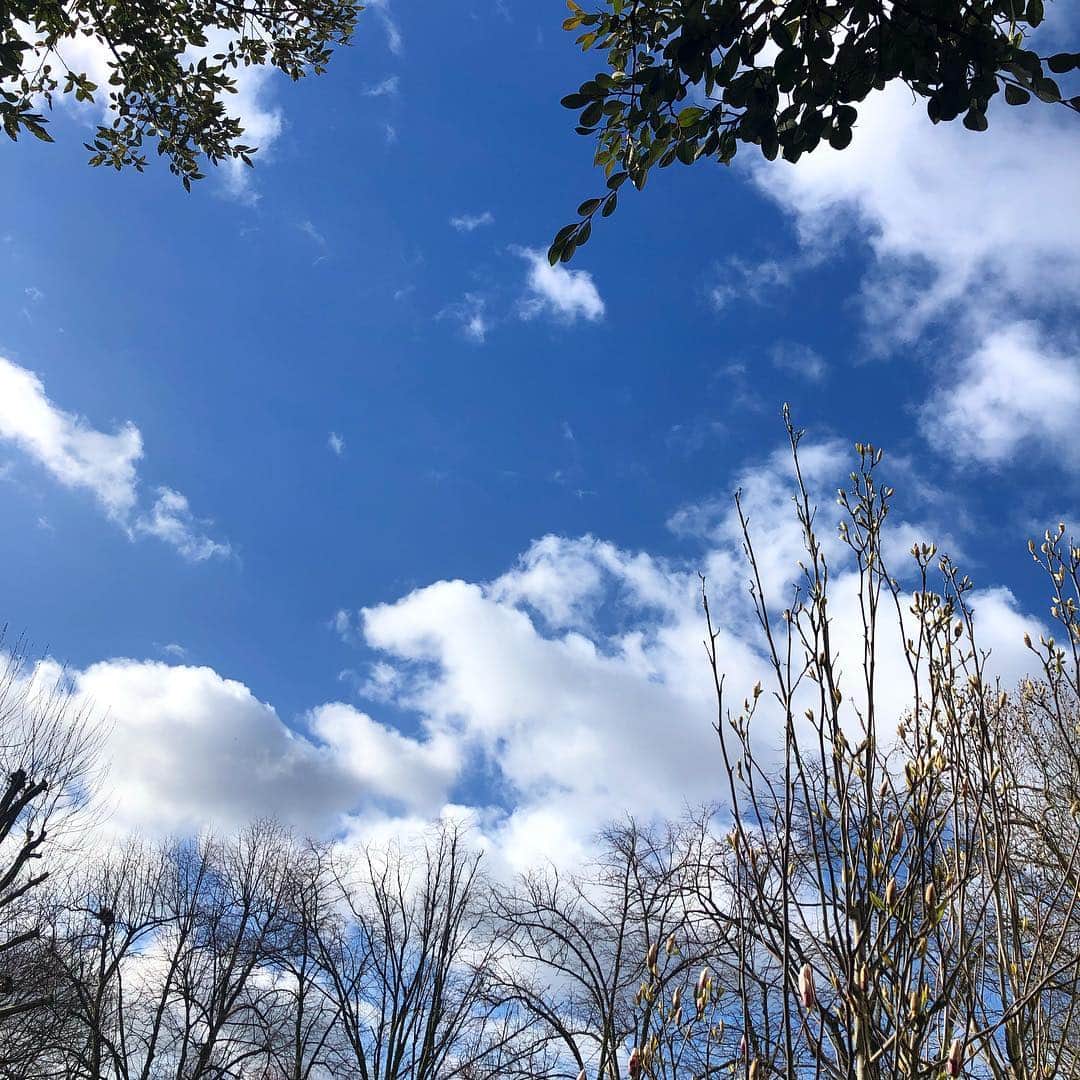 布袋寅泰さんのインスタグラム写真 - (布袋寅泰Instagram)「3.11。空に向かって祈ります。#東日本大震災 pray for japan」3月11日 20時13分 - hotei_official