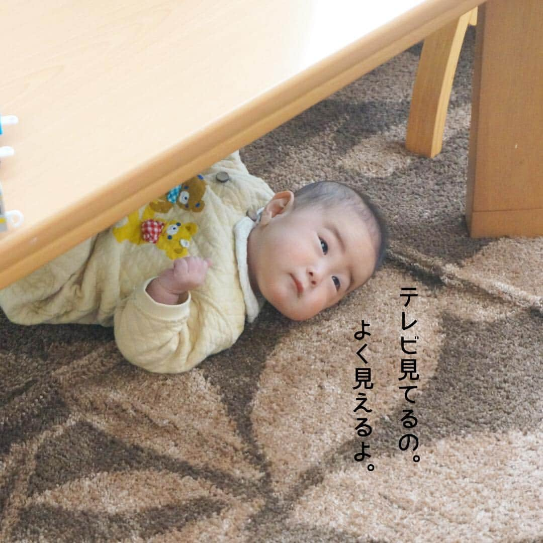 makikoさんのインスタグラム写真 - (makikoInstagram)「❤︎ わが家のおてんば娘👶🏻❤️ ．  寝返りコロコロと身体くねくねで移動し、至る所で発見される（笑）😅 ．  エイトはこんなに動き回ってなかった気がするんよなぁ。🤔 ．  とにかくじっとしていない。常に動いてる。🤣💓 ．  #ことちゃんぽつんシリーズ  #方向転換はお手の物 #お尻突き上げて前に進む #アクロバティックな動きも習得 #0歳 #生後6ヶ月 #女の子 #赤ちゃん #親バカ部」3月11日 20時28分 - batako93