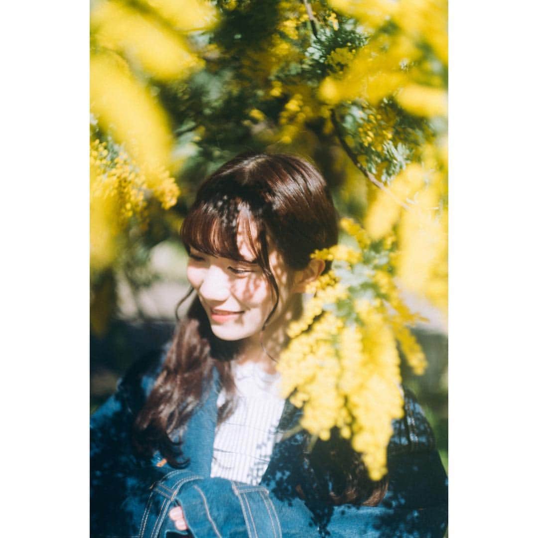 のインスタグラム：「🌼🌼🌼﻿ ﻿ #photography #photo #portrait #ポートレート﻿﻿ #yoyogipark #代々木公園 #公園 #春 #ミモザ #カメラ女子」