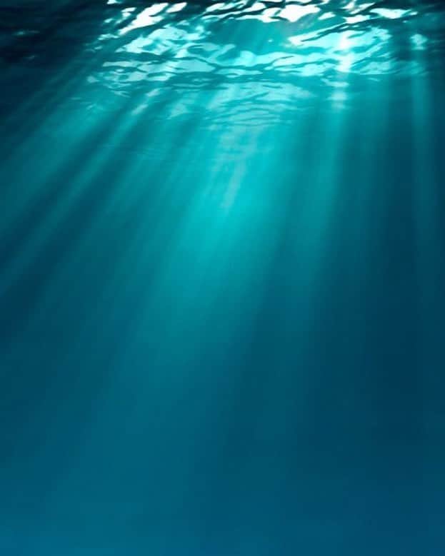 ゴータのインスタグラム：「#calypso#deep#blue」