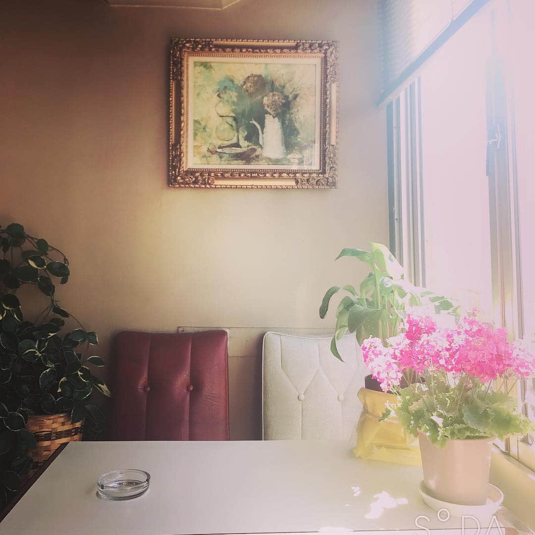 益子寺かおりさんのインスタグラム写真 - (益子寺かおりInstagram)「高崎でおギグをした時にTwin Twinブラリお散歩がてら勃ち寄った、 喫茶 #コンパル ♡ ・ 店内にはお花がいっぱいでまるで植物園のようだったわ！地元に愛されてるイキフンがとても居心地グンバツだったナァ。マッチもマンモスプリピー♡ ・ #コンパル #喫茶コンパル #純喫茶 #お一人様でお茶してるところを #ようたんに激写されたわ #かおりのコーヒールンバ #投稿を淫スタ運営に削除されて以来 #シャドウバンとやらを食らっていて #ハッシュタグ使えない苛々！ #ベッドイン #bedin」3月12日 19時56分 - kaori_masuco