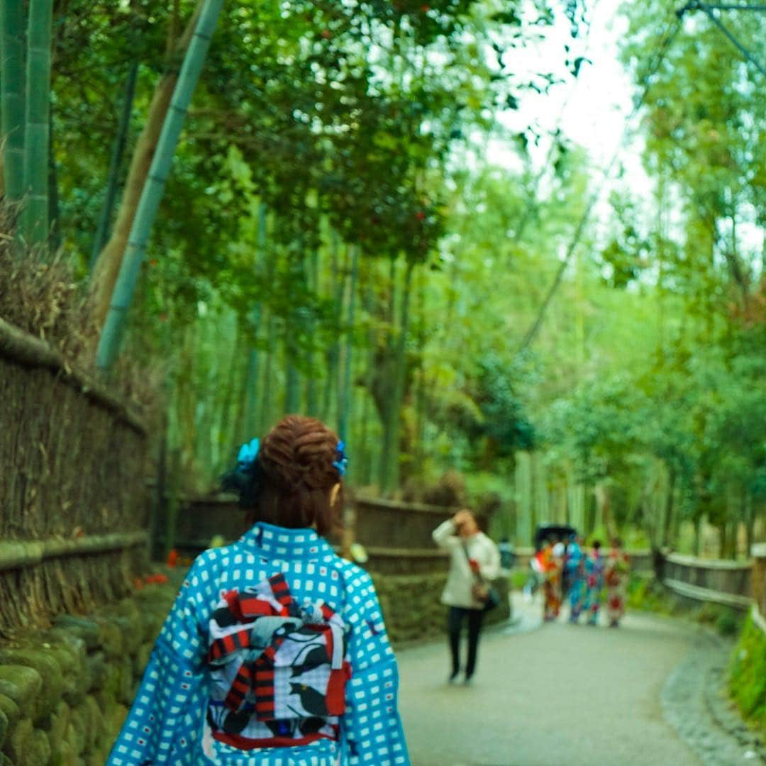 佐倉絆さんのインスタグラム写真 - (佐倉絆Instagram)「ハニー🐝🐝🍯と京都旅行してきたよ💓 一眼で沢山写真撮ってくれた📸 鈴虫寺に行って嵐山に行って、たくさん食べた🐷 やっぱり京都は最高だなぁ！ 大好きな街🥰 💓 💓 💓 #京都旅行 #嵐山 #京都着物レンタル  #わかむらさき  #またレンタルしたい #着物大好きすぎ #めっちゃ猫尽くし🐈 #着物も帯も帯締めも下駄も猫🐈 #しかしわたしは #チワワを飼ってる #推しが猫好きだから #全部猫」3月12日 17時17分 - kizunasakura