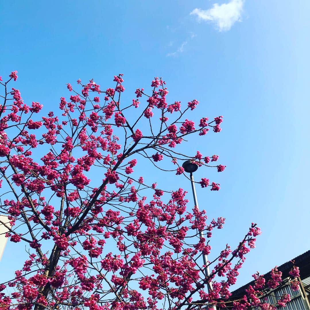 笛木優子のインスタグラム：「お天気良かったですね〜💕 最近、新納さんとミニドラマの撮影しました〜(^^) 新納さんとは朗読劇以来で楽しみにしていたんですが、本当に面白くて🤣 一緒に仕事しながら安心できる素敵な先輩です🙆‍♀️🤲 また告知しますね！！ #梅 #新納慎也 先輩」