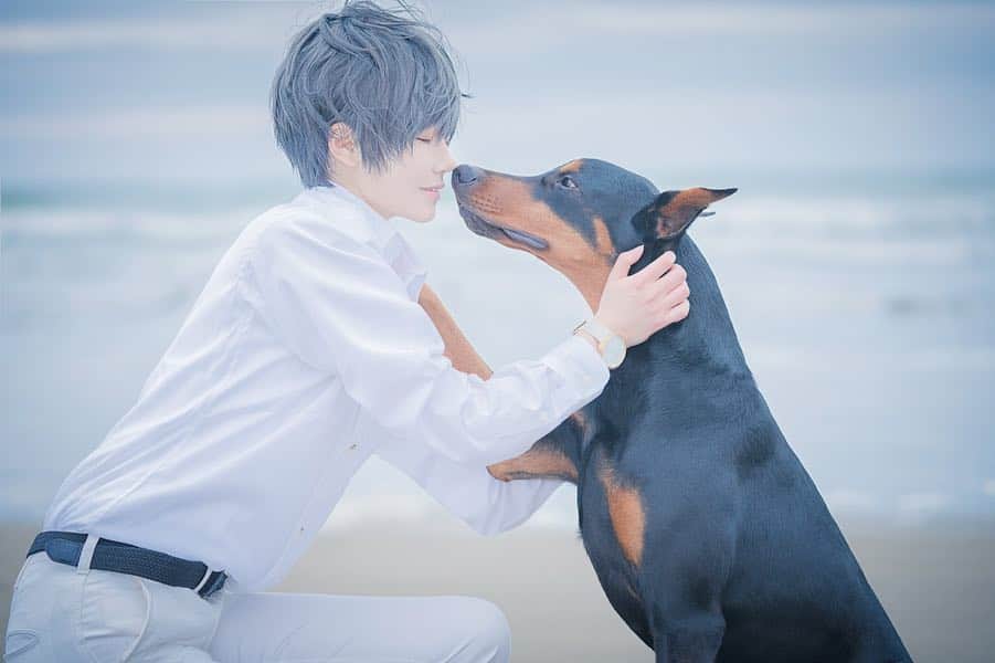 赤羽律のインスタグラム：「「Unrequited Love」 . . 今回の撮影で使った時計は @mavenjapan からのですよ💋 . Coupon code: akabaritsu . . P＊kyanchan . #mavenwatches #マベンウォッチズ #時計 #腕時計 #男装女子 #オリジナル #コスプレ #コスプレイヤー #cosplay #cosplayer #original #dobermanpinscher #doberman #ドーベルマン #犬 #dog #crossplay #pr」