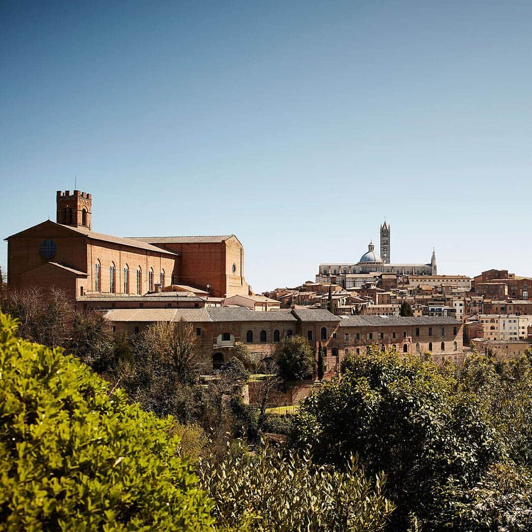 Porscheさんのインスタグラム写真 - (PorscheInstagram)「Discover Tuscany's twisting turns. Porsche Travel Experience Tuscany lets you explore one week of driving pleasure and culinary indulgence in one of Italy’s most beautiful regions. #Porsche #PorscheTravelExperience #Italy #Tuscany  __ Combined fuel consumption in accordance with EU 6: 911 Targa 4 GTS: 9,1 l/100 km CO2 emissions: 207 g/km; 911 Carrera Cabriolet: 9,2 l/100 km, CO2 emissions: 210 g/km」3月12日 21時48分 - porsche