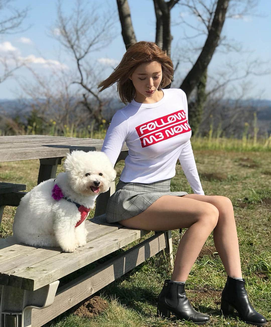 のインスタグラム：「My hair has grown since last year! Which do you like better??😇 . のえるくんかぜ感じてる💗 . #bichonfrise#bichonfrisé#bichon#doggystyles#doggystlye#redvalentino#valentine#2019ss#outfit#ootdfashion#lovefashionstyle#springfashion#skirt#miniskirt#portraitphotography  #ビションフリーゼ#ビション#わんすたぐらむ#わんこのいる生活#わんことお出かけ#ポートレート」