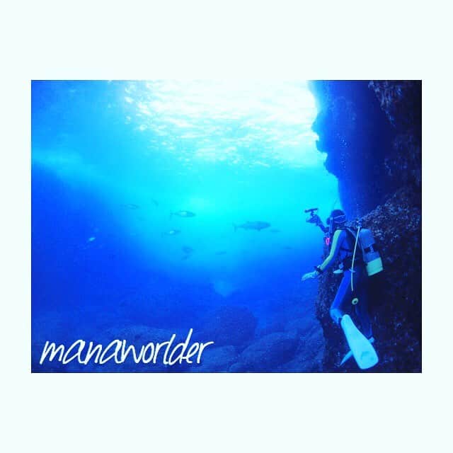 MANAMI SASAKIのインスタグラム：「・ 小笠原諸島🐬✨ ・ に、 ・ 姉が行ってきたって、写真もらった👏⭐️笑 ・ 私がいま日本でどこに1番行きたいかって聞かれたら真っ先に答える場所✈︎ ・ 島々全体が世界遺産☝️☘️ ・ こんな身近でウミガメ見れるなんて最高すぎだ😆❤︎ ・ ・ ・ #海外旅行 #世界遺産検定1級 #写真好きな人と繋がりたい #海外旅行好きな人と繋がりたい」