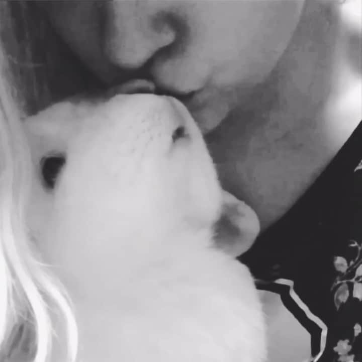 Exempel the bunnyのインスタグラム：「I miss you buddy.」
