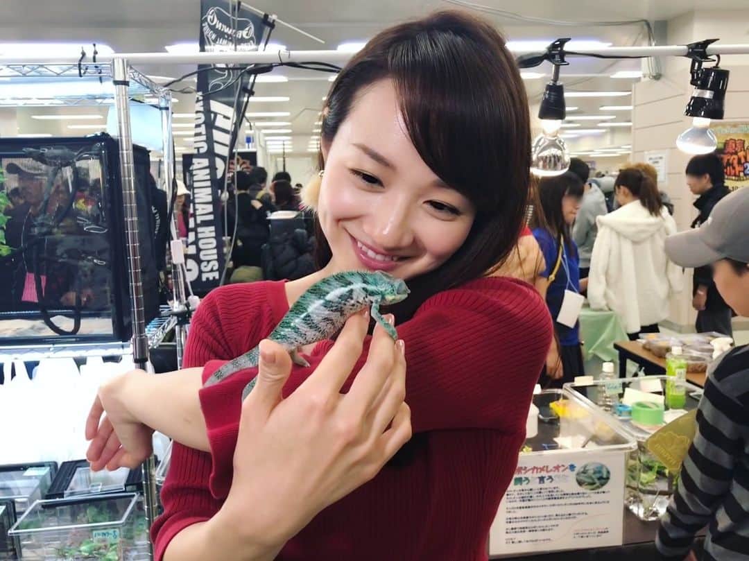 松原江里佳さんのインスタグラム写真 - (松原江里佳Instagram)「出演情報のご案内です🌹 紗綾さんと行った 「東京レプタイルズワールド2018冬」ロケの様子が放送されます❤️ 3月15日27時20分〜 テレビ朝日の「イベ検」です😊 ♡ ♡ 今回はとても短い時間の放送だけど、数回に分けてオンエアしますのでチェックしてくださいね♪ 夜遅い時間だけど(´°̥̥̥̥̥̥̥̥ω°̥̥̥̥̥̥̥̥｀) お付き合いくださ〜い😆 #沙綾 さん #テレビ朝日 #イベント #カメレオン  #レプタイルズ #爬虫類 #動物 #animal  #フリーアナウンサー #でこ #スターダスト」3月13日 10時41分 - erika_matsubara