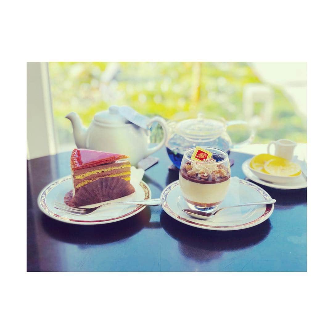 斉藤マリナ(さいまり) さんのインスタグラム写真 - (斉藤マリナ(さいまり) Instagram)「ケーキ屋さんのケーキを食べたい欲が一年くらい継続しているんですけど、このケーキが2つめくらいなのでケーキ屋さんに行きたいという、日記。 . #tokyo#japan#camera#foodporn#foodie#sweets#cake#omotesando#cafe#teatime#gerbeaudcafe . #東京#東京観光#ケーキ#カフェ#カフェ巡り#カフェ好き#ジェルボー#ドボシュトルタ」3月13日 23時31分 - saitoh_marina