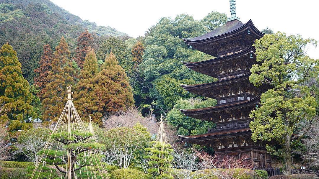ロシアン佐藤のインスタグラム：「山口行った時に寄った、瑠璃光寺  五重塔が見事でした。  途中で飲んだ甘酒がねっとり優しい甘さをしててめちゃくちゃ美味しかった。  こんぴらさんとか、一畑薬師さんとかの分社があって面白かった😳  #瑠璃光寺 #山口県 #五重塔 #寺 #temple」