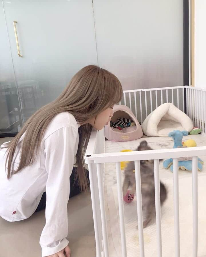 IZ*ONEさんのインスタグラム写真 - (IZ*ONEInstagram)「🐥🐶 ⠀⠀⠀ #예나 #イェナ #IZONE #아이즈원 #アイズワン」3月13日 19時38分 - official_izone