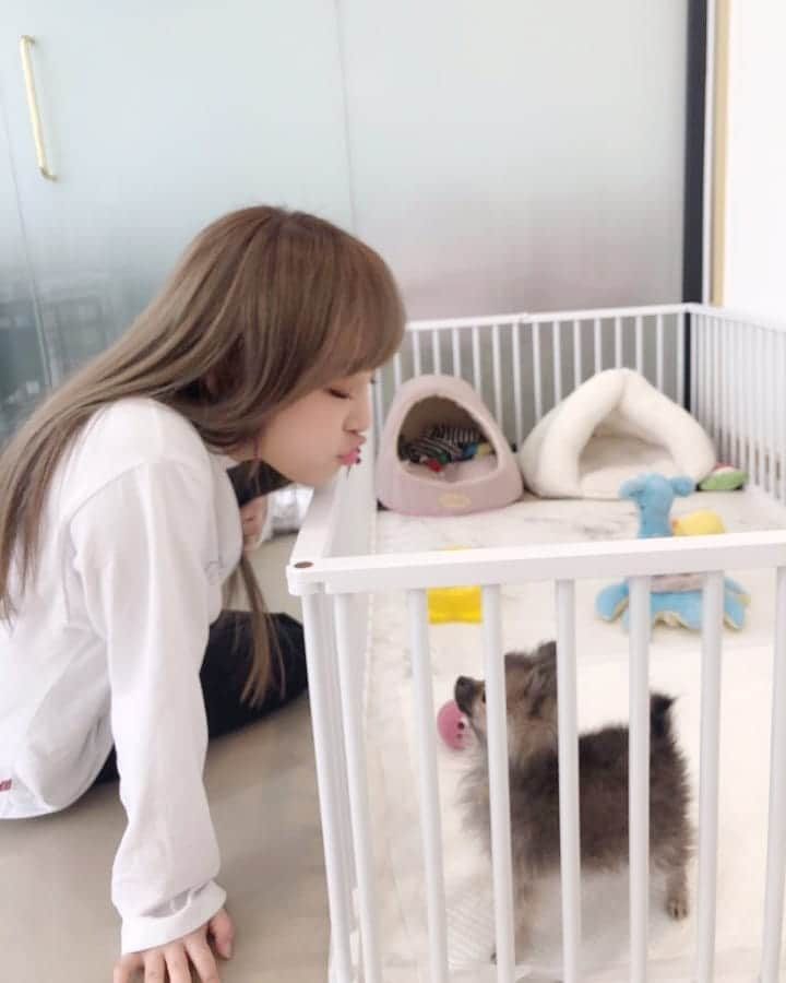 IZ*ONEさんのインスタグラム写真 - (IZ*ONEInstagram)「🐥🐶 ⠀⠀⠀ #예나 #イェナ #IZONE #아이즈원 #アイズワン」3月13日 19時38分 - official_izone