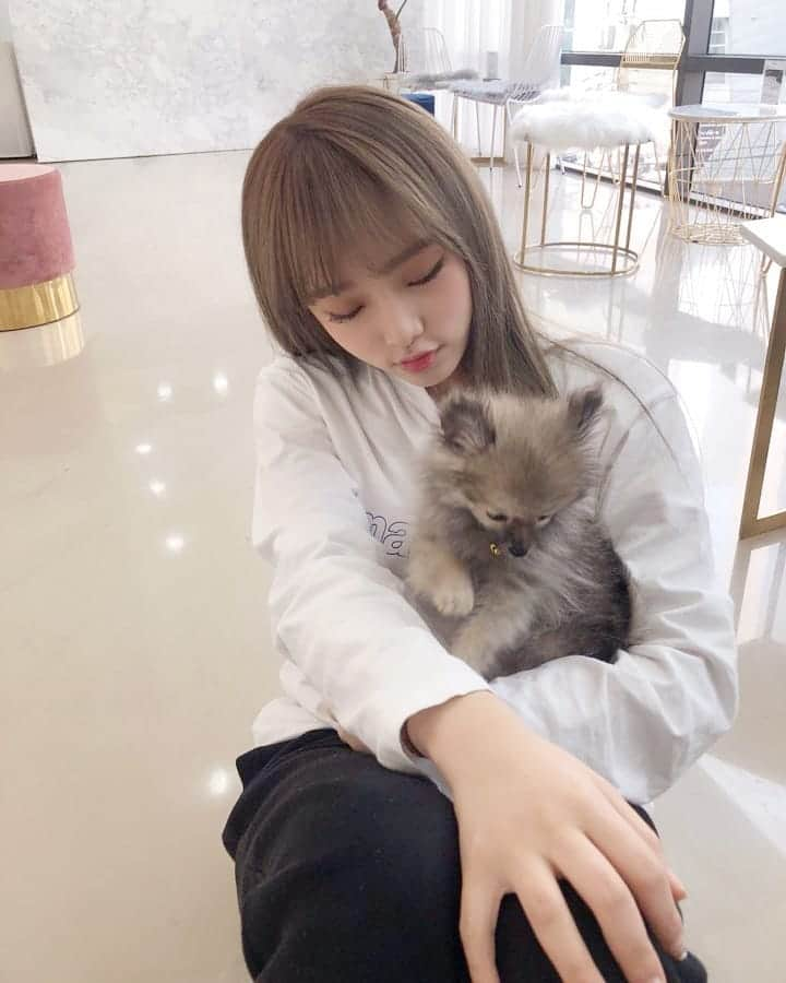 IZ*ONEさんのインスタグラム写真 - (IZ*ONEInstagram)「🐥🐶 ⠀⠀⠀ #예나 #イェナ #IZONE #아이즈원 #アイズワン」3月13日 19時38分 - official_izone