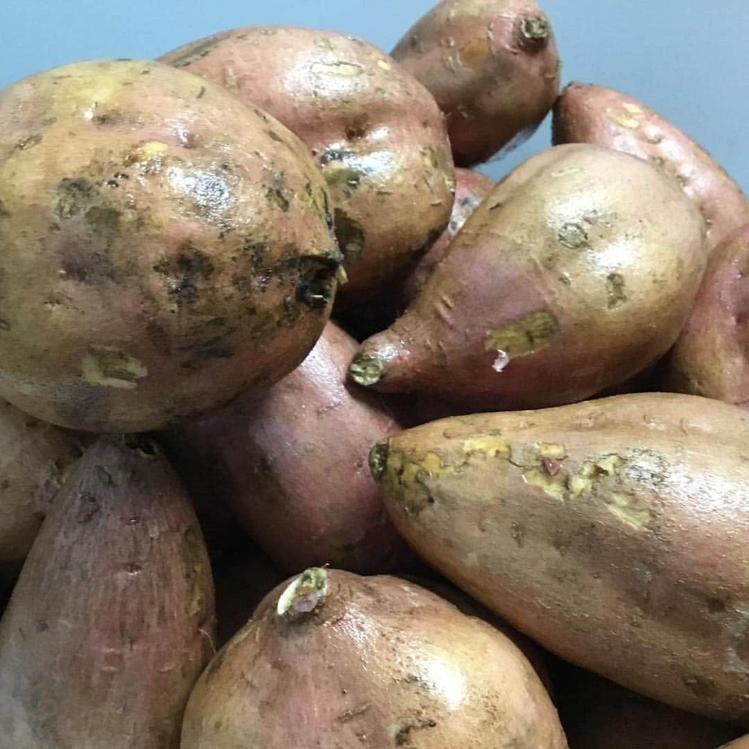 potatolaboのグルメインスタ